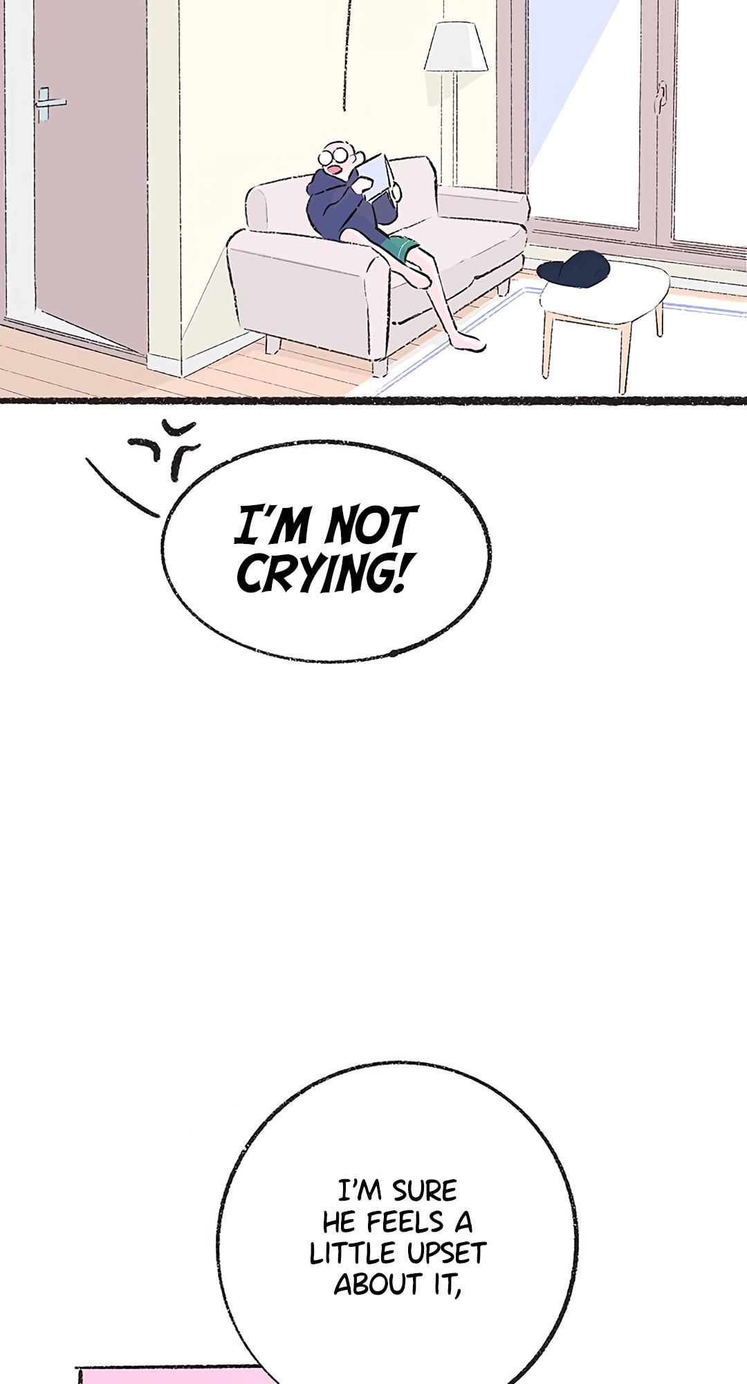 Why Don