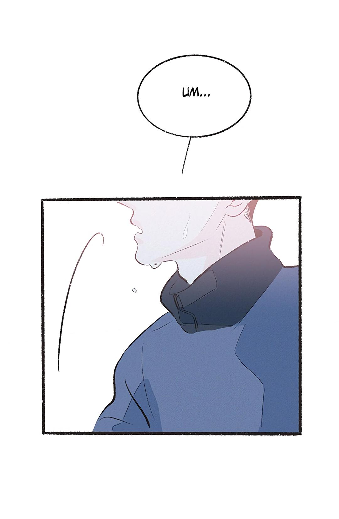 Why Don