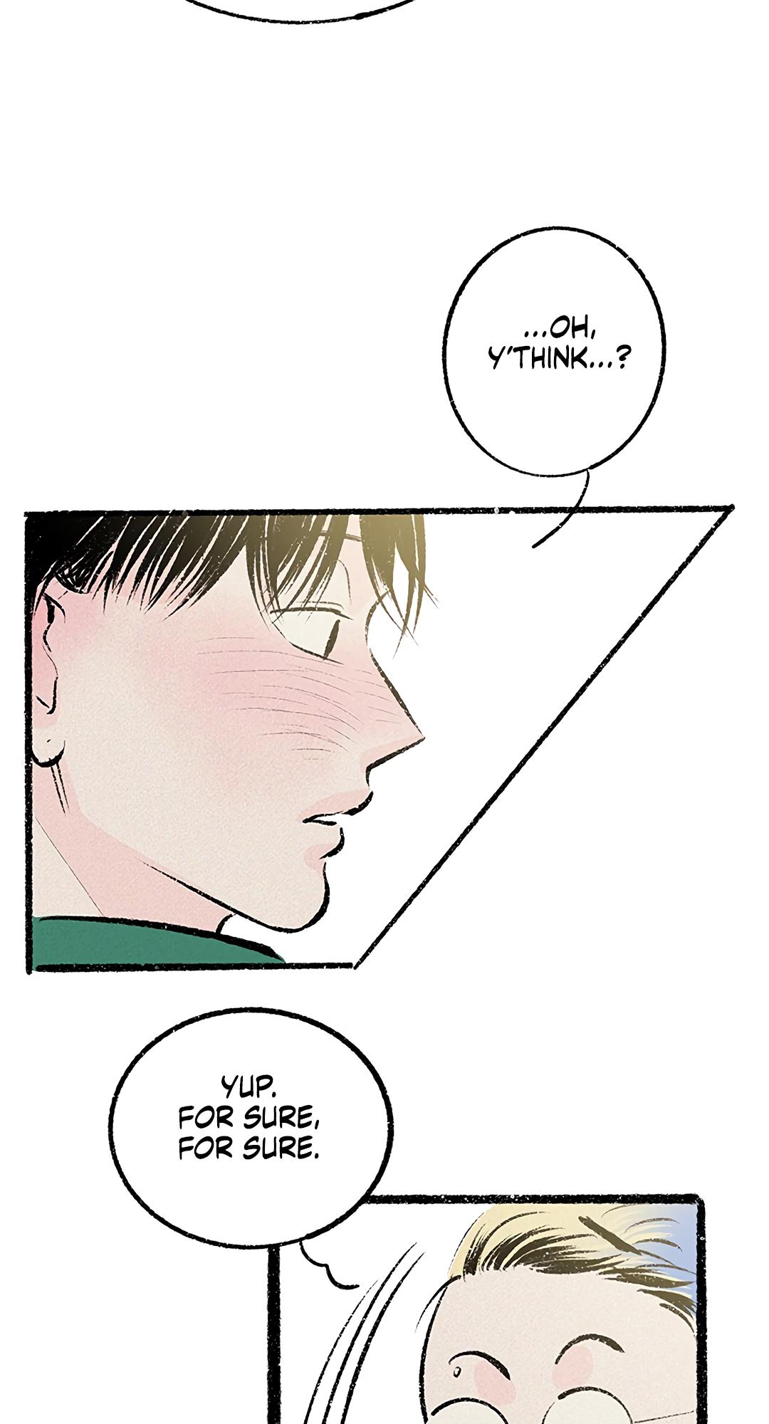 Why Don