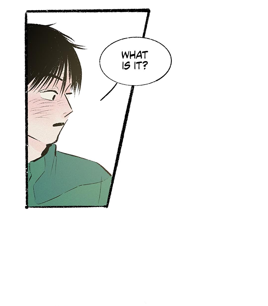 Why Don