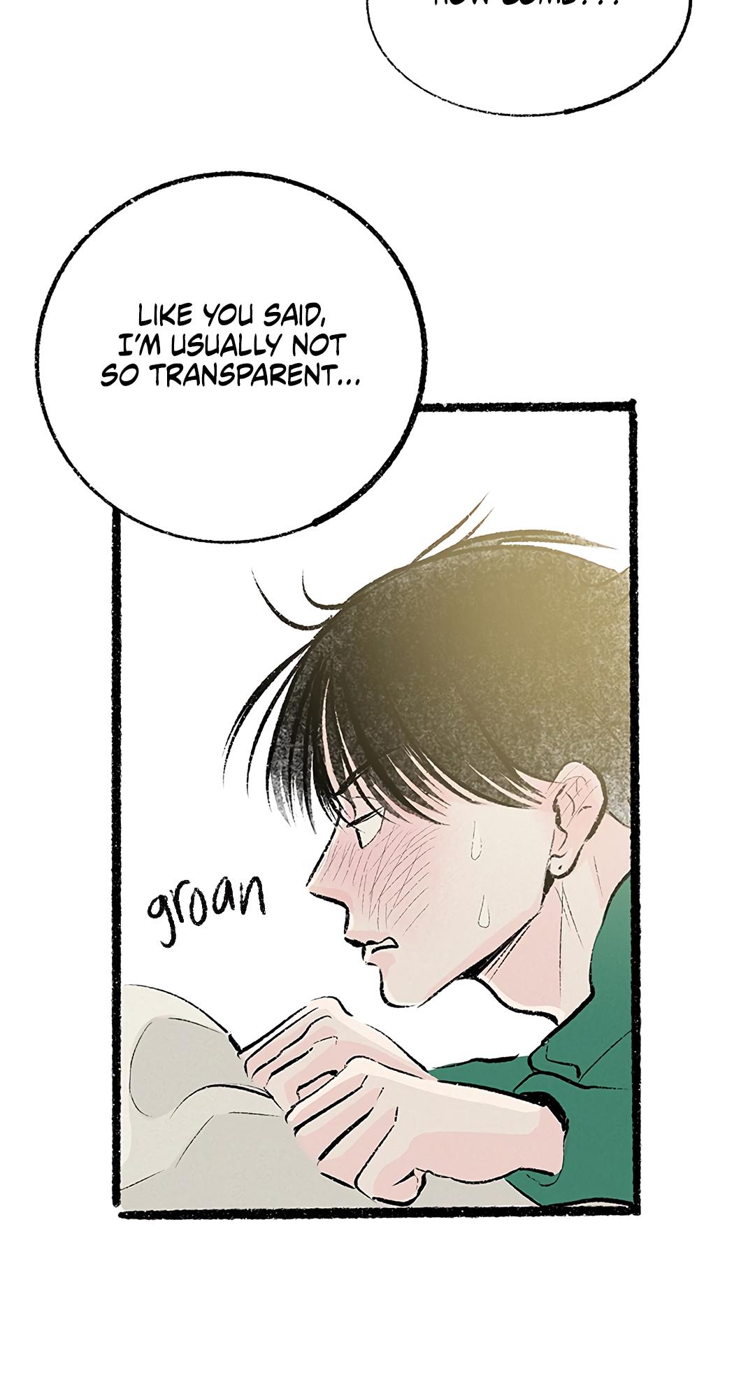 Why Don