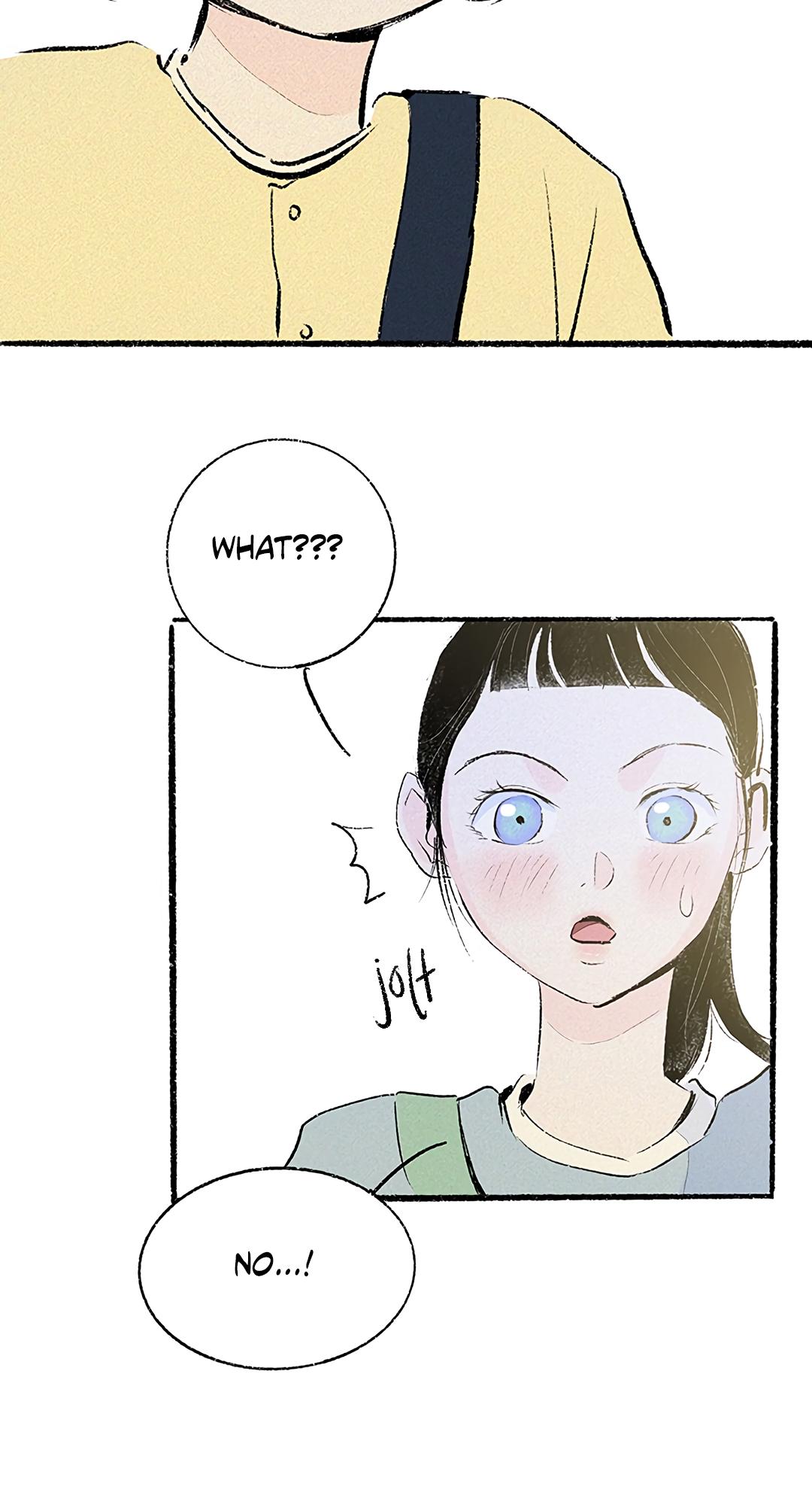 Why Don