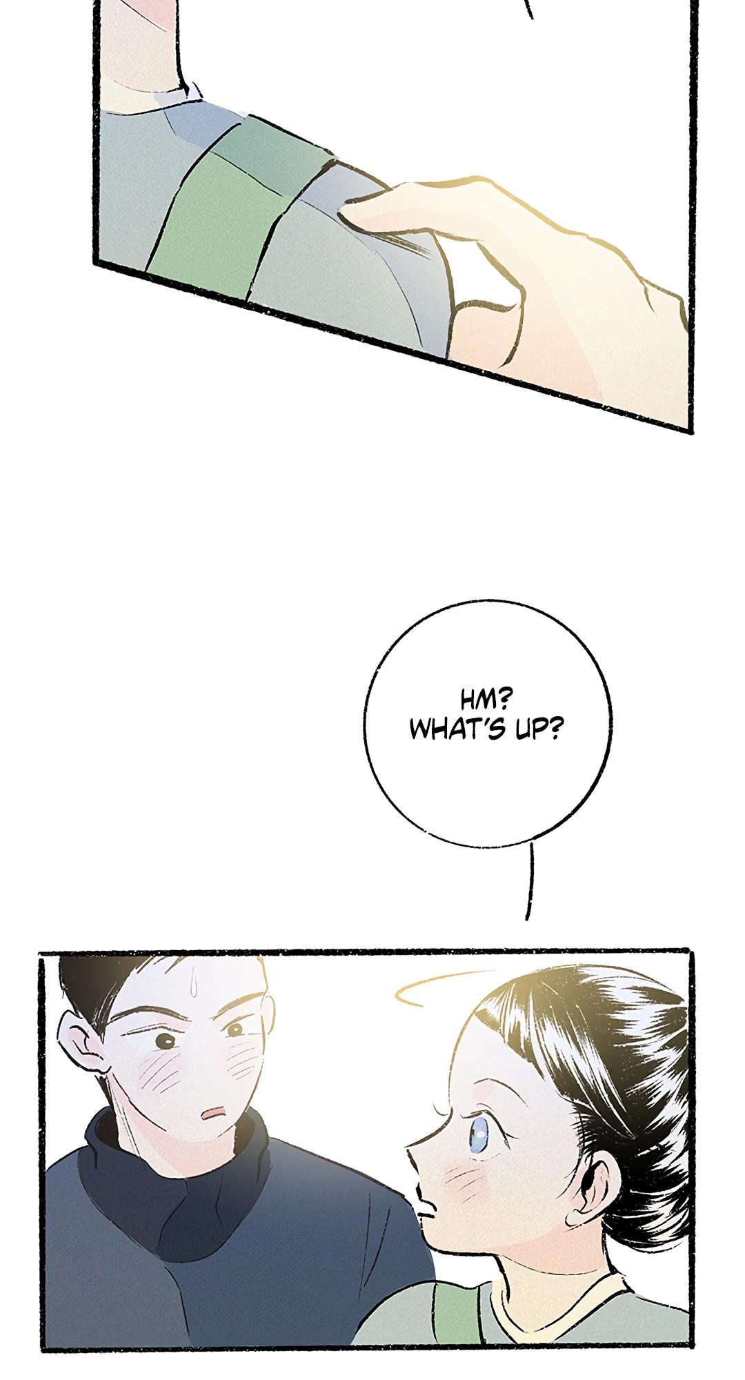 Why Don