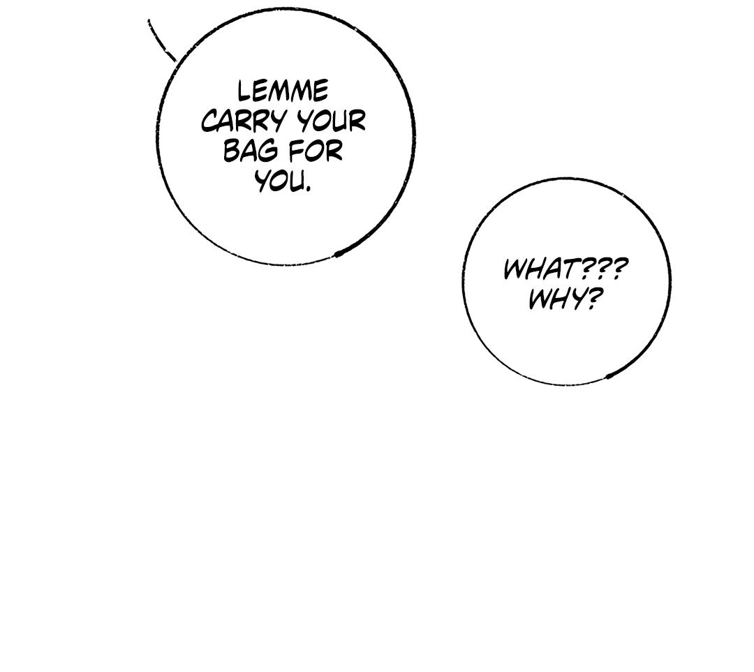 Why Don