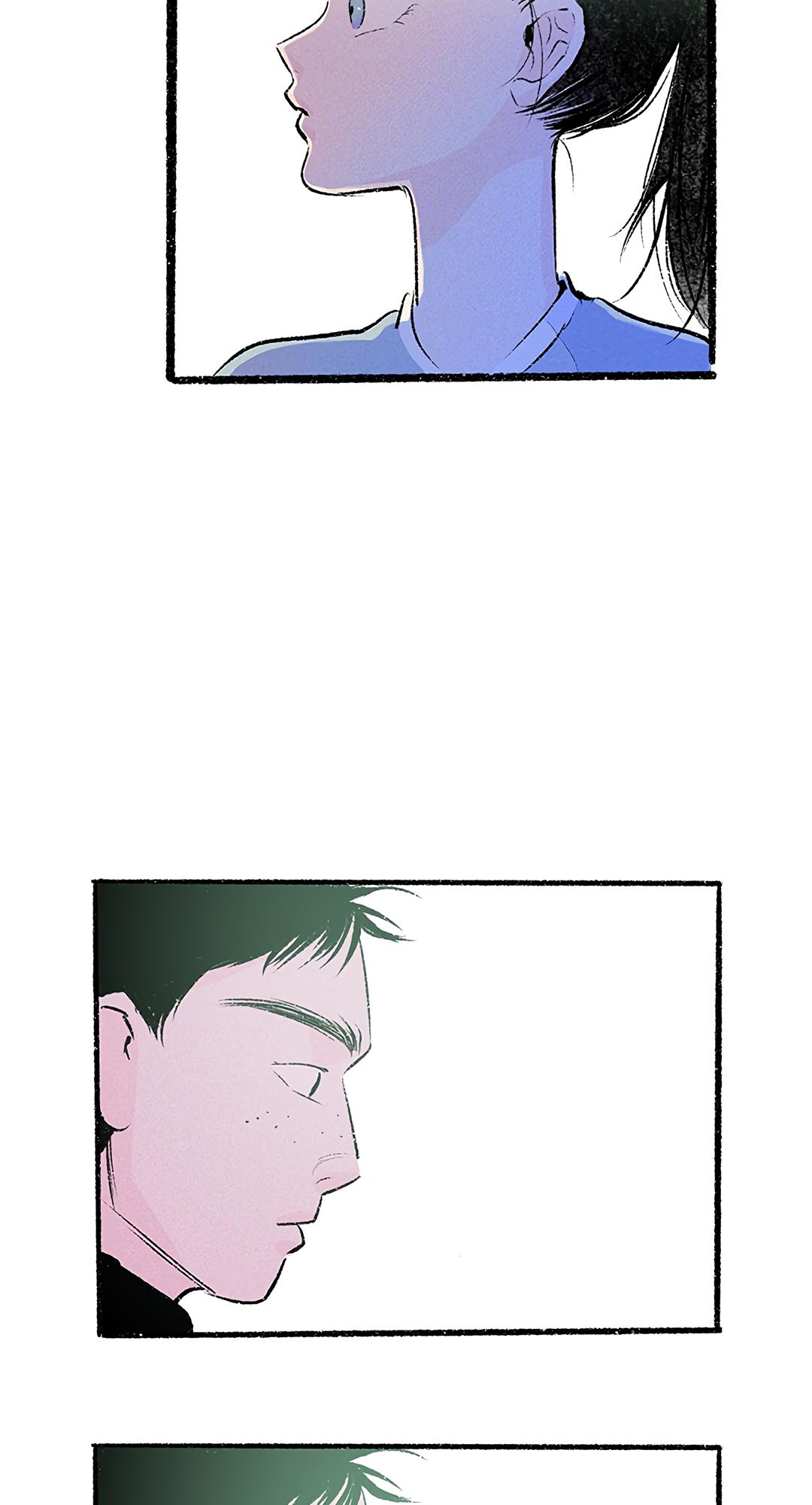 Why Don