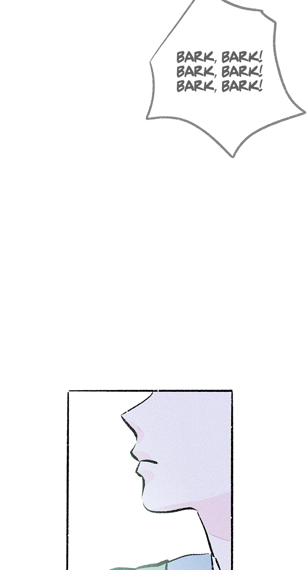 Why Don