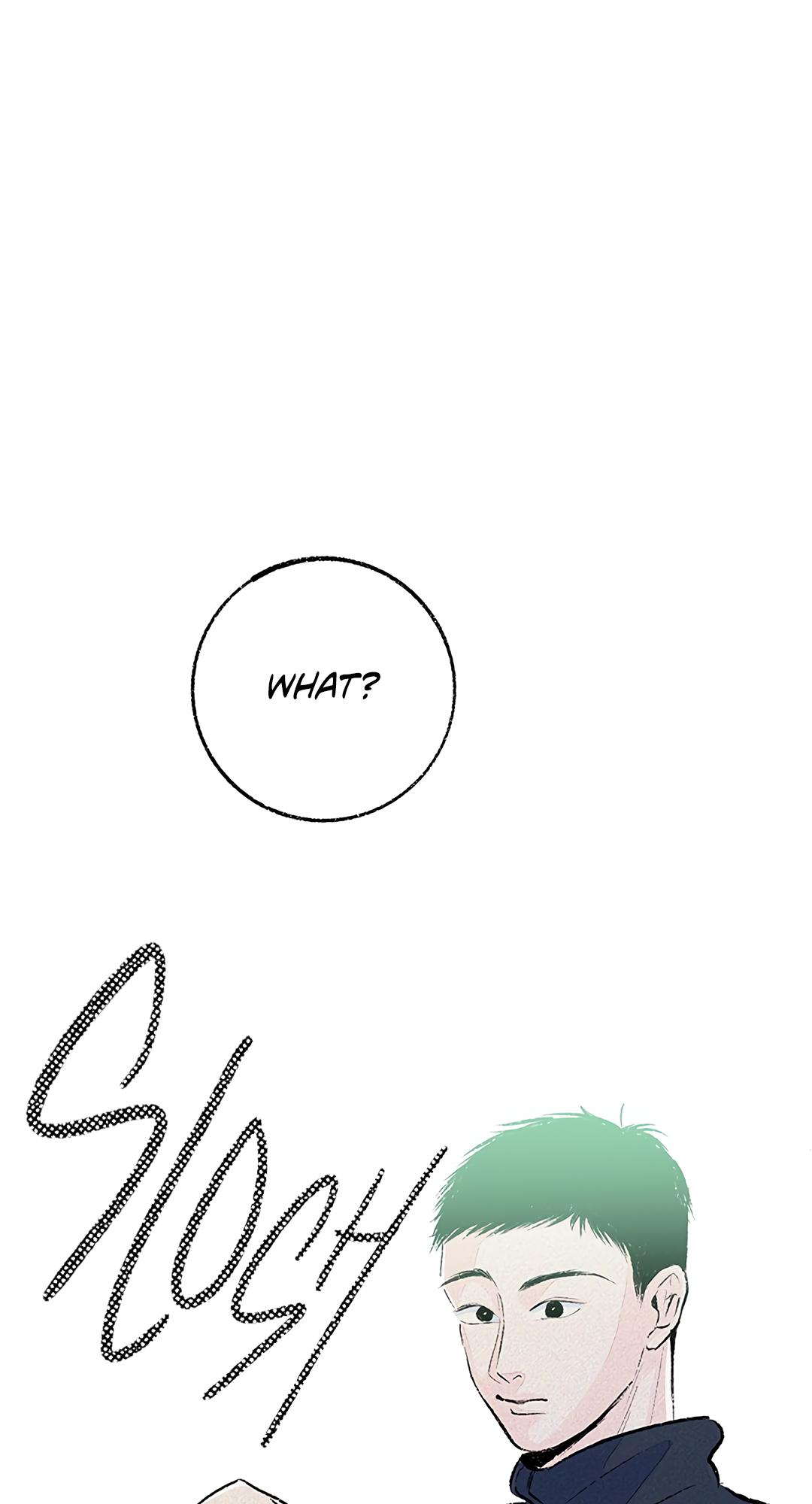 Why Don