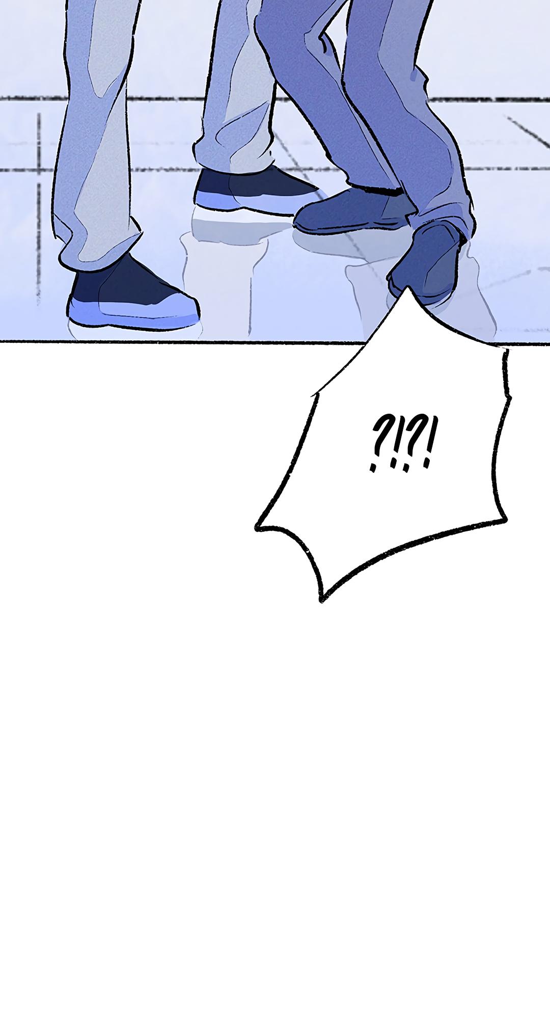 Why Don