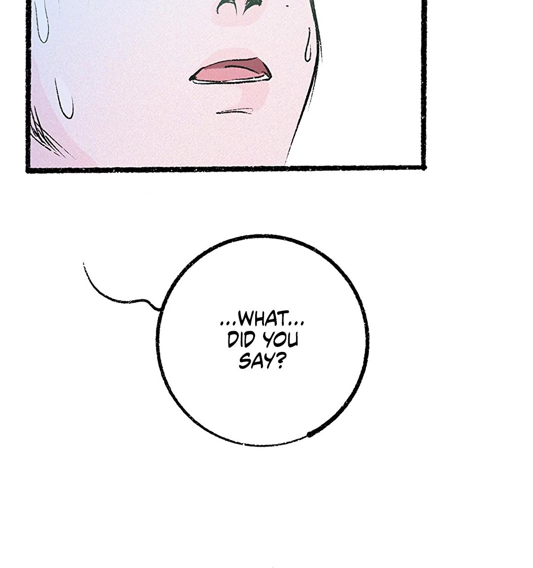 Why Don