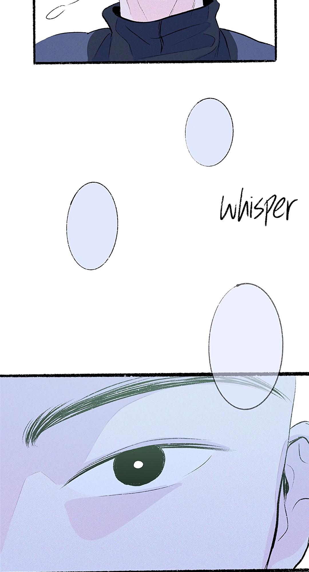 Why Don