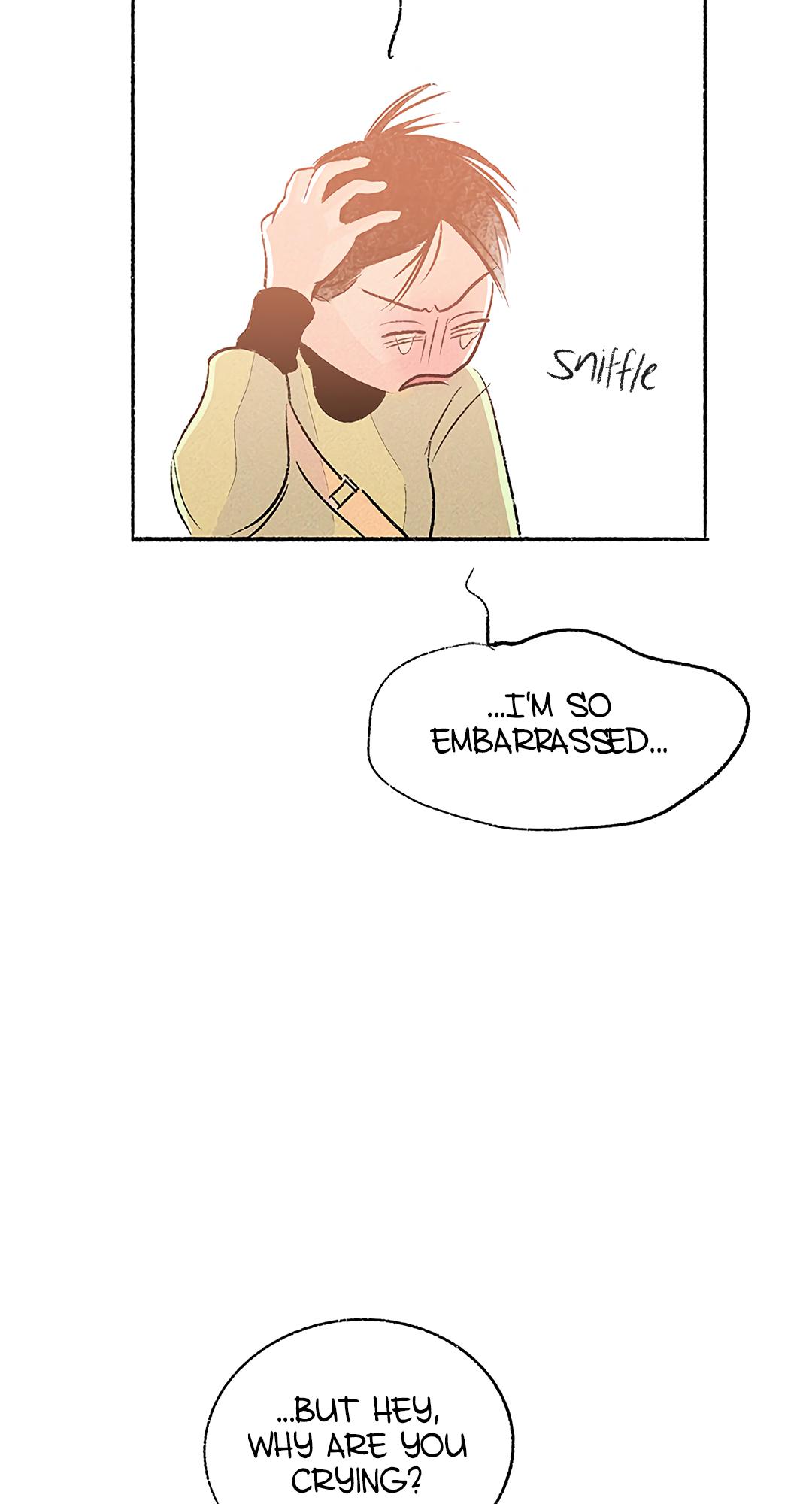 Why Don