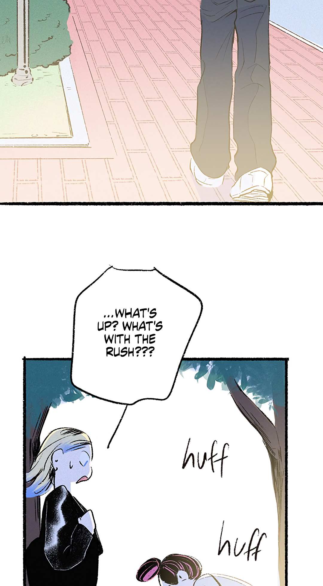 Why Don