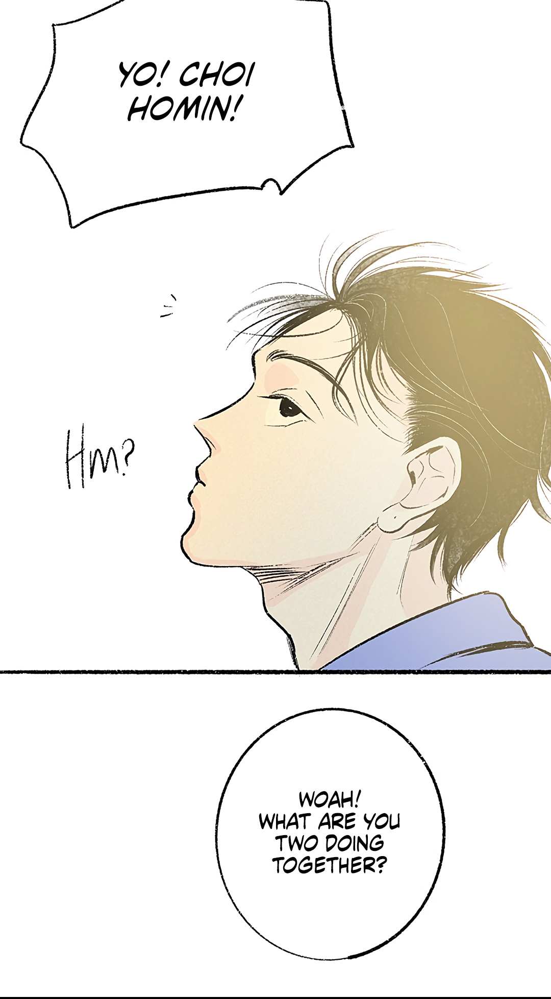 Why Don