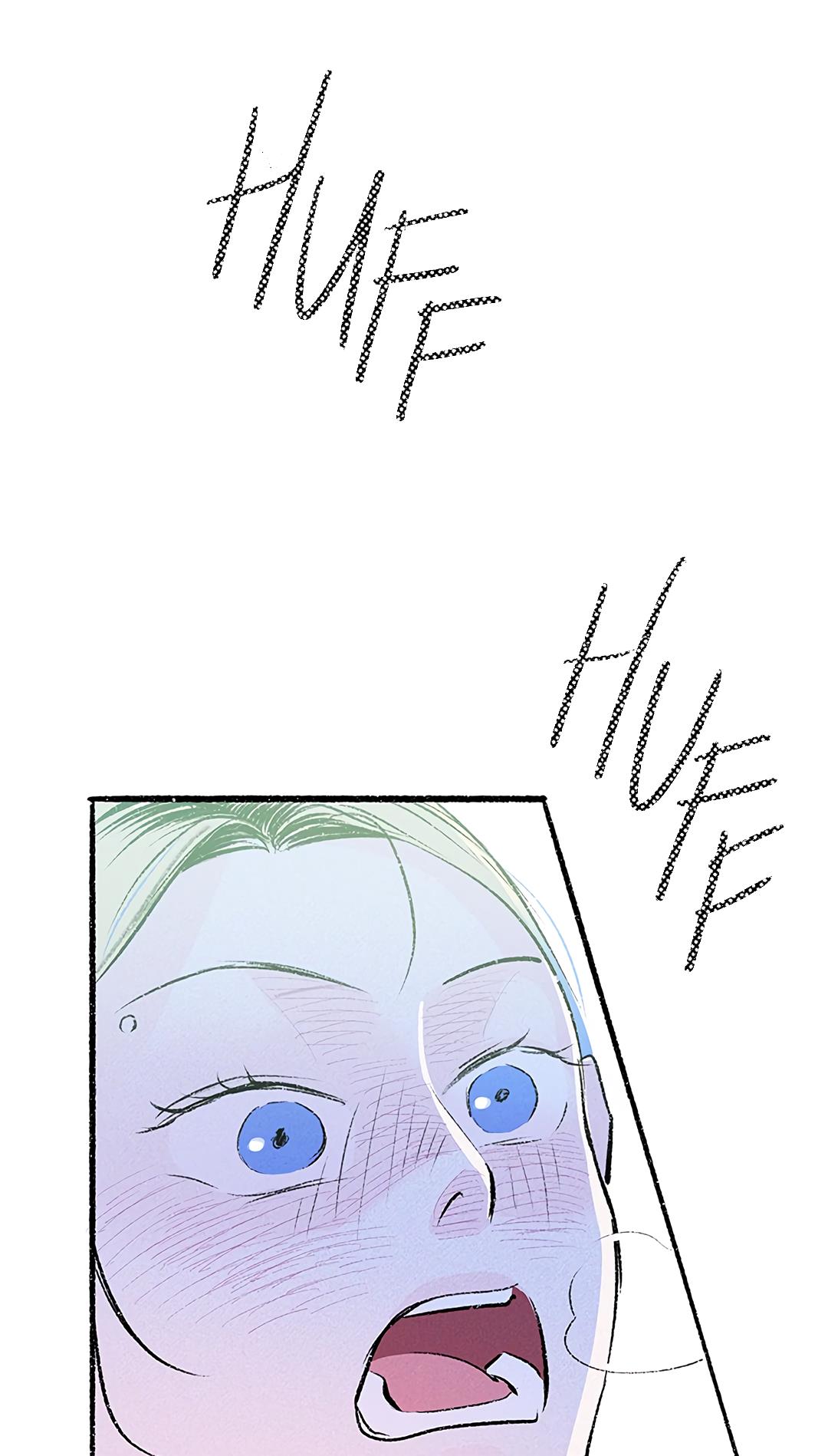 Why Don