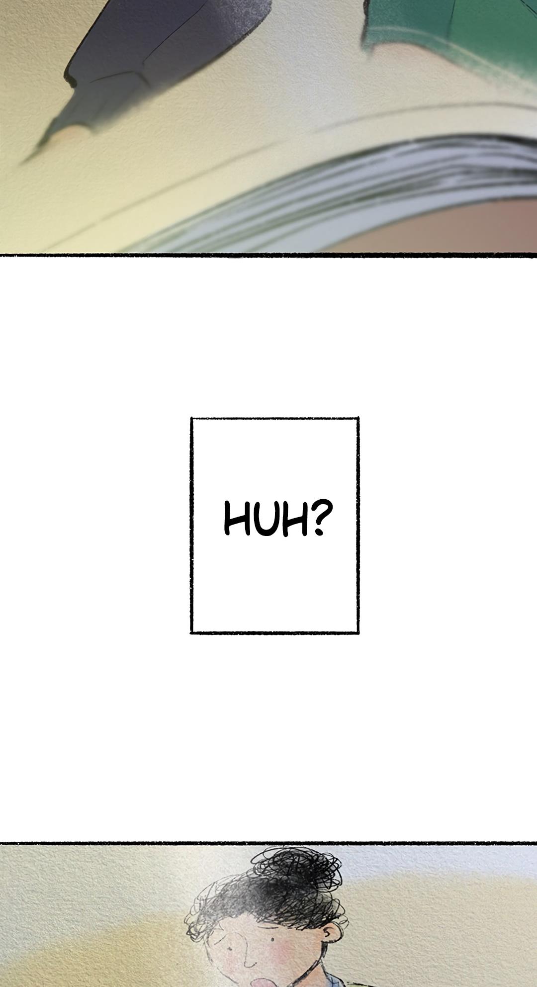 Why Don