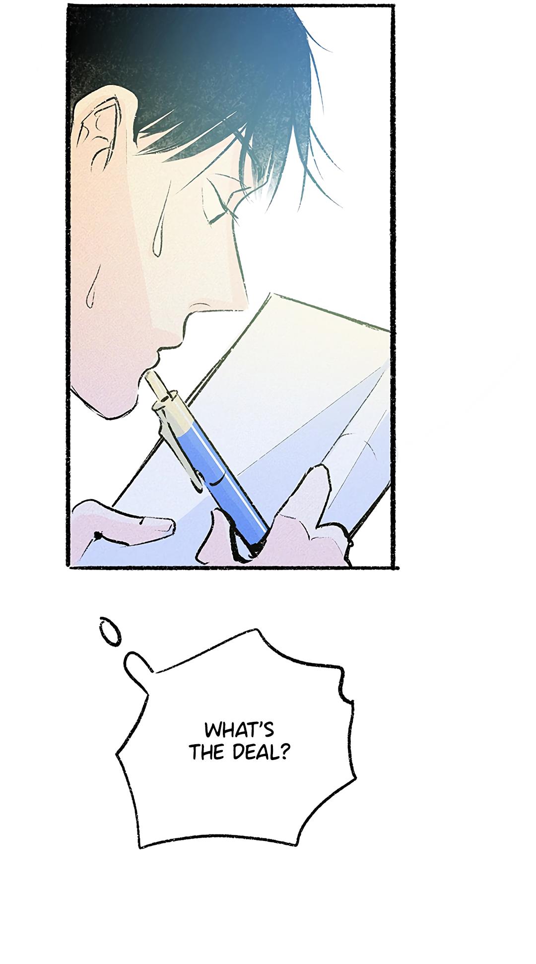 Why Don