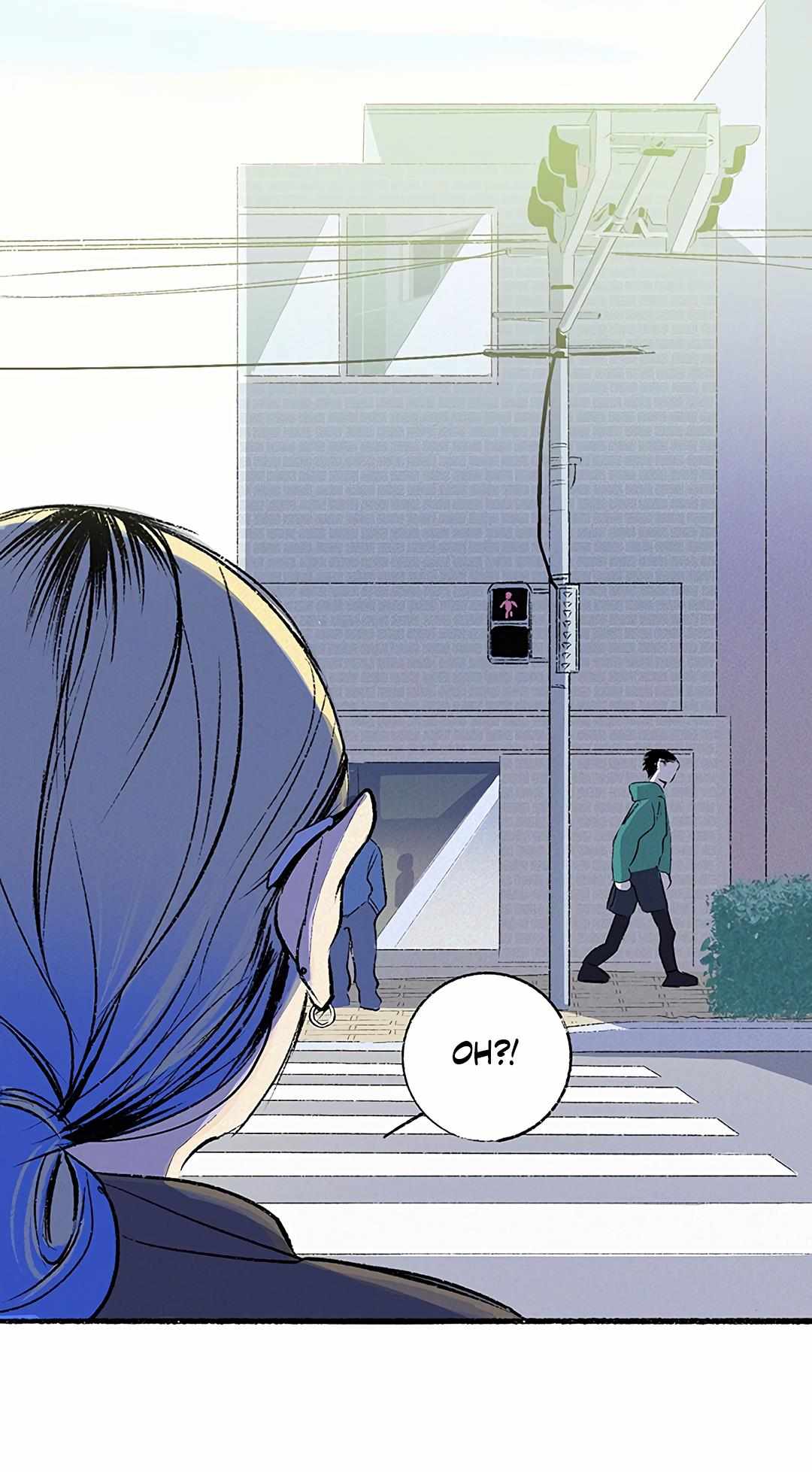 Why Don