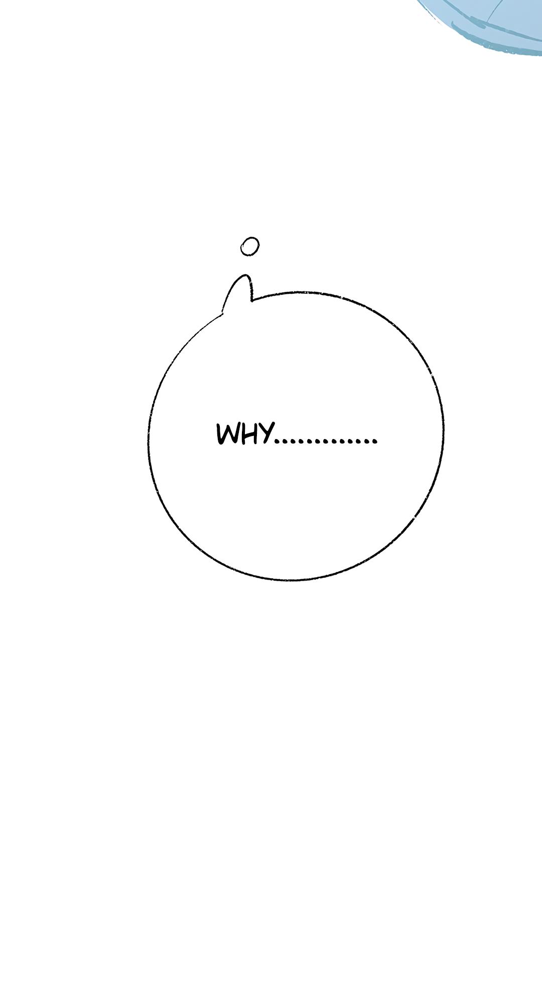 Why Don