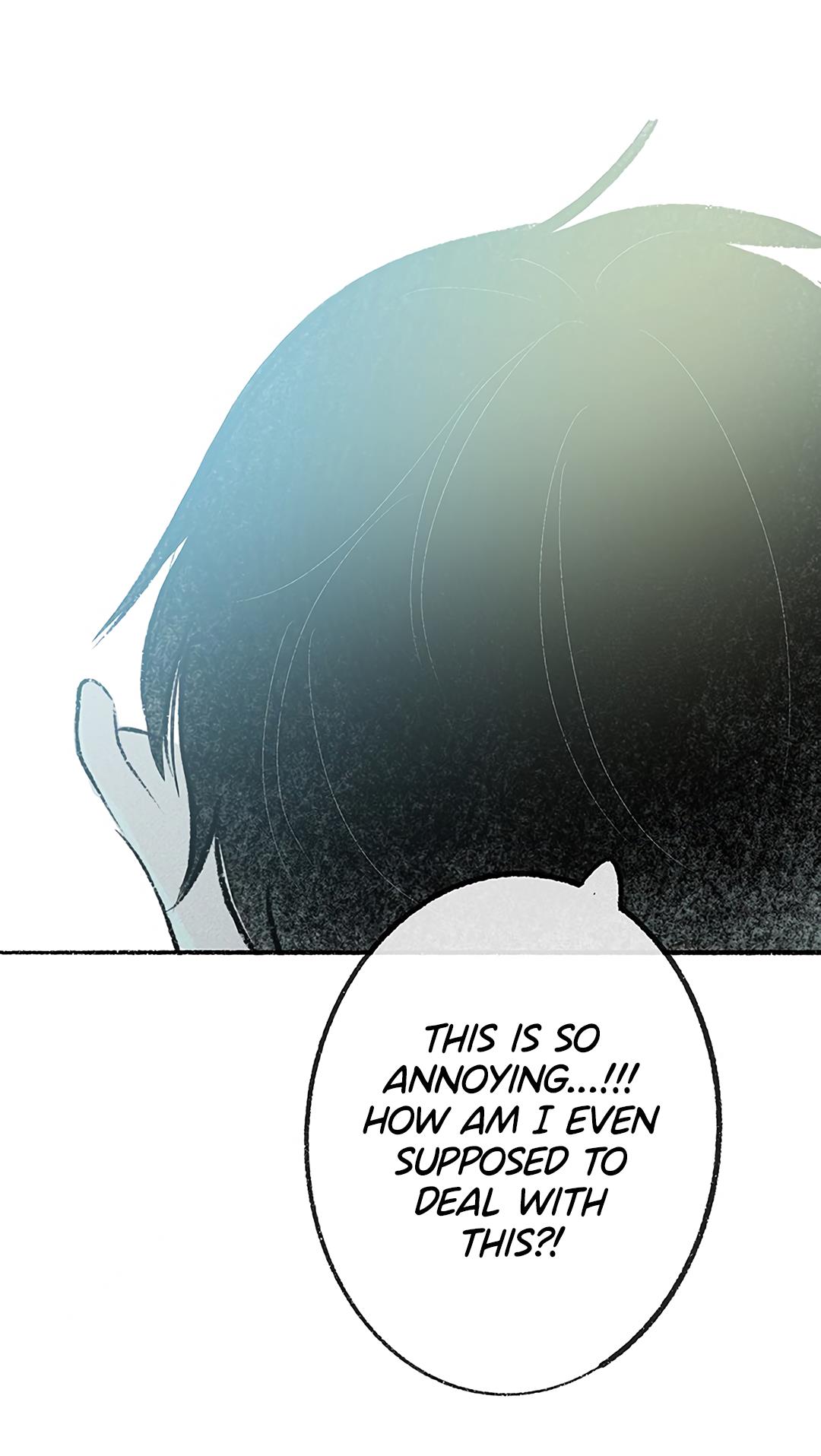 Why Don
