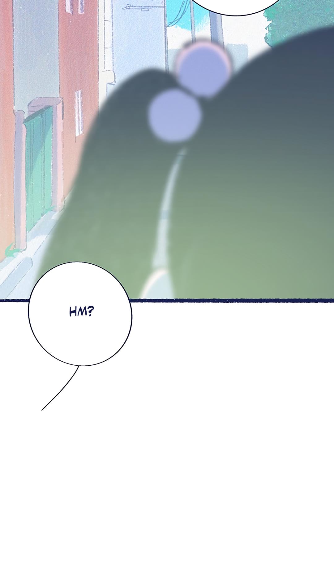 Why Don