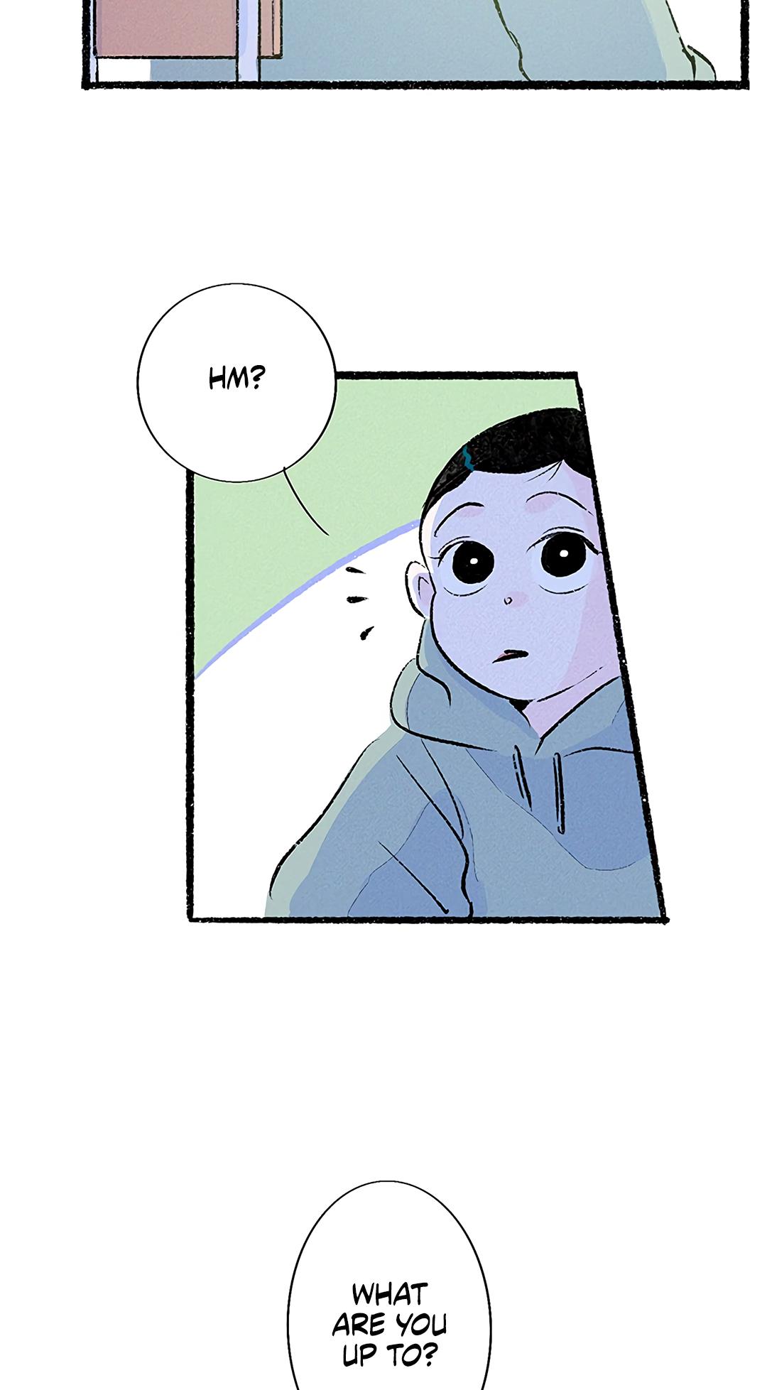Why Don