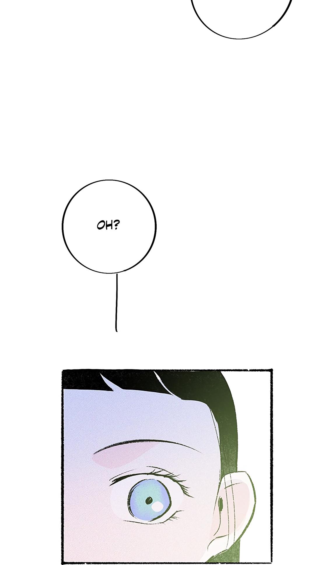 Why Don