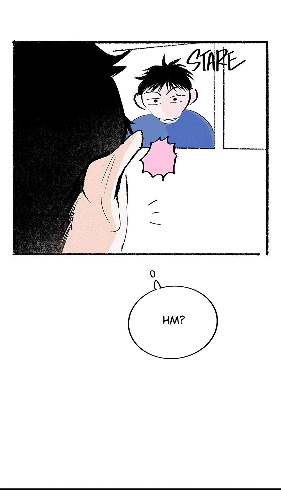 Why Don