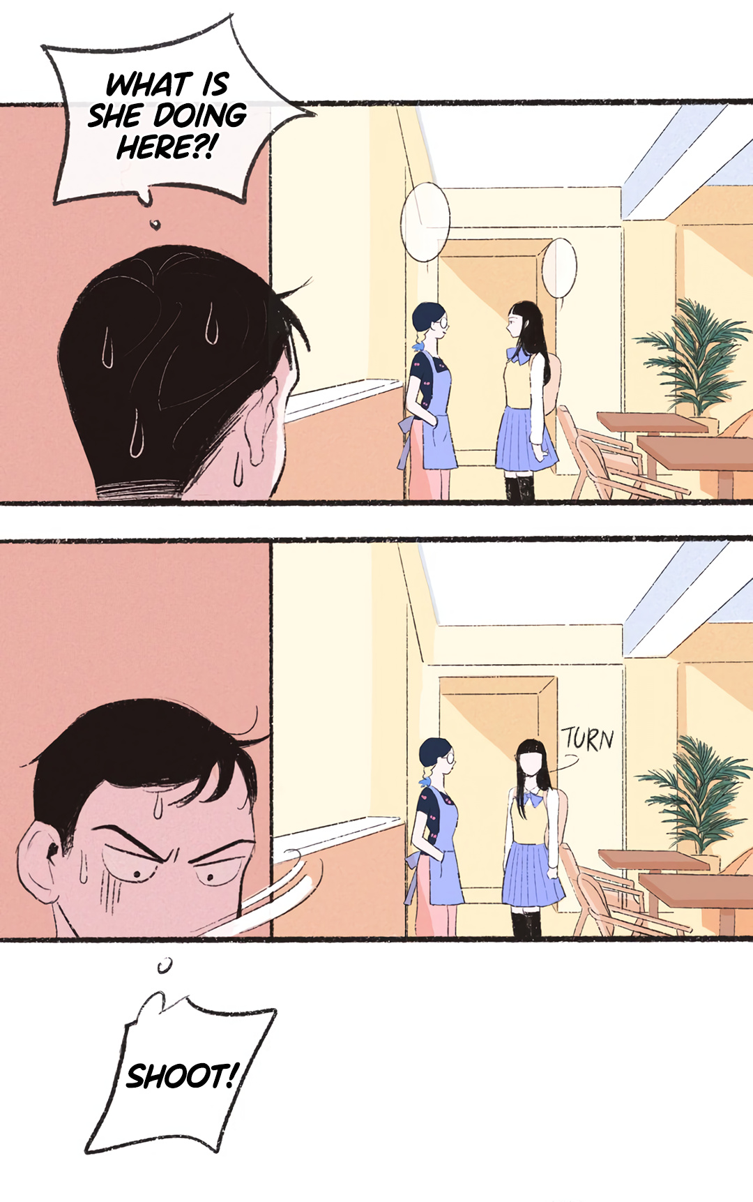 Why Don