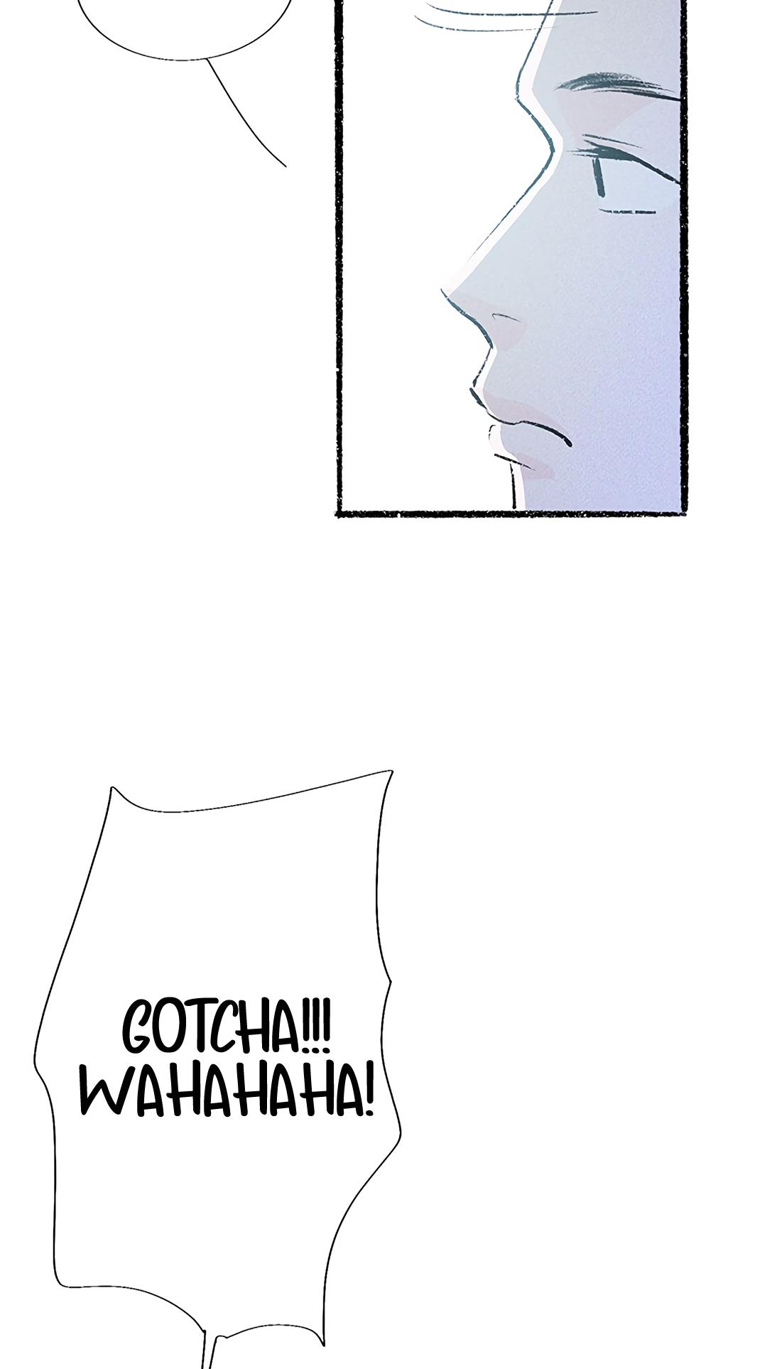 Why Don