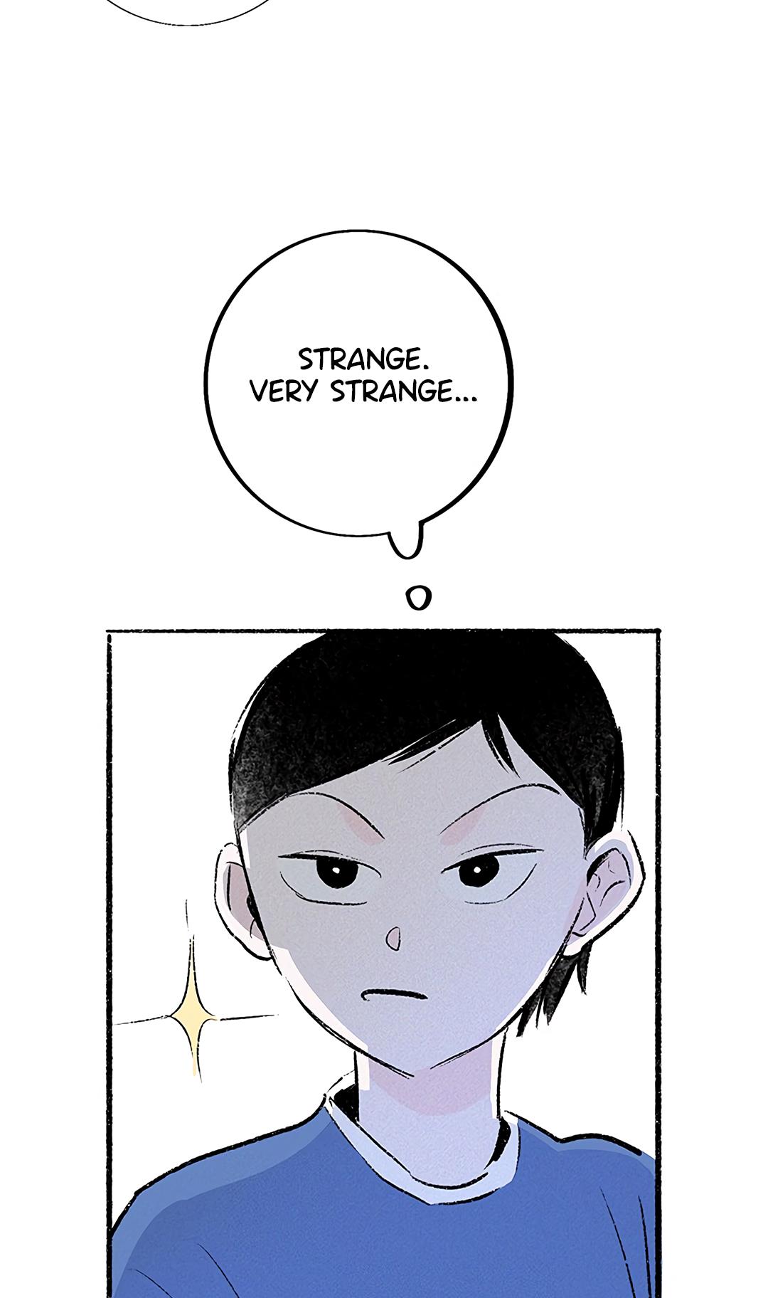 Why Don