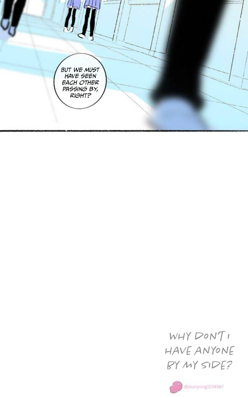 Why Don