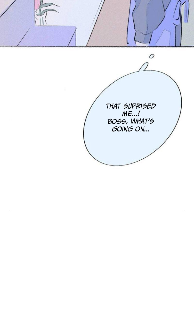 Why Don
