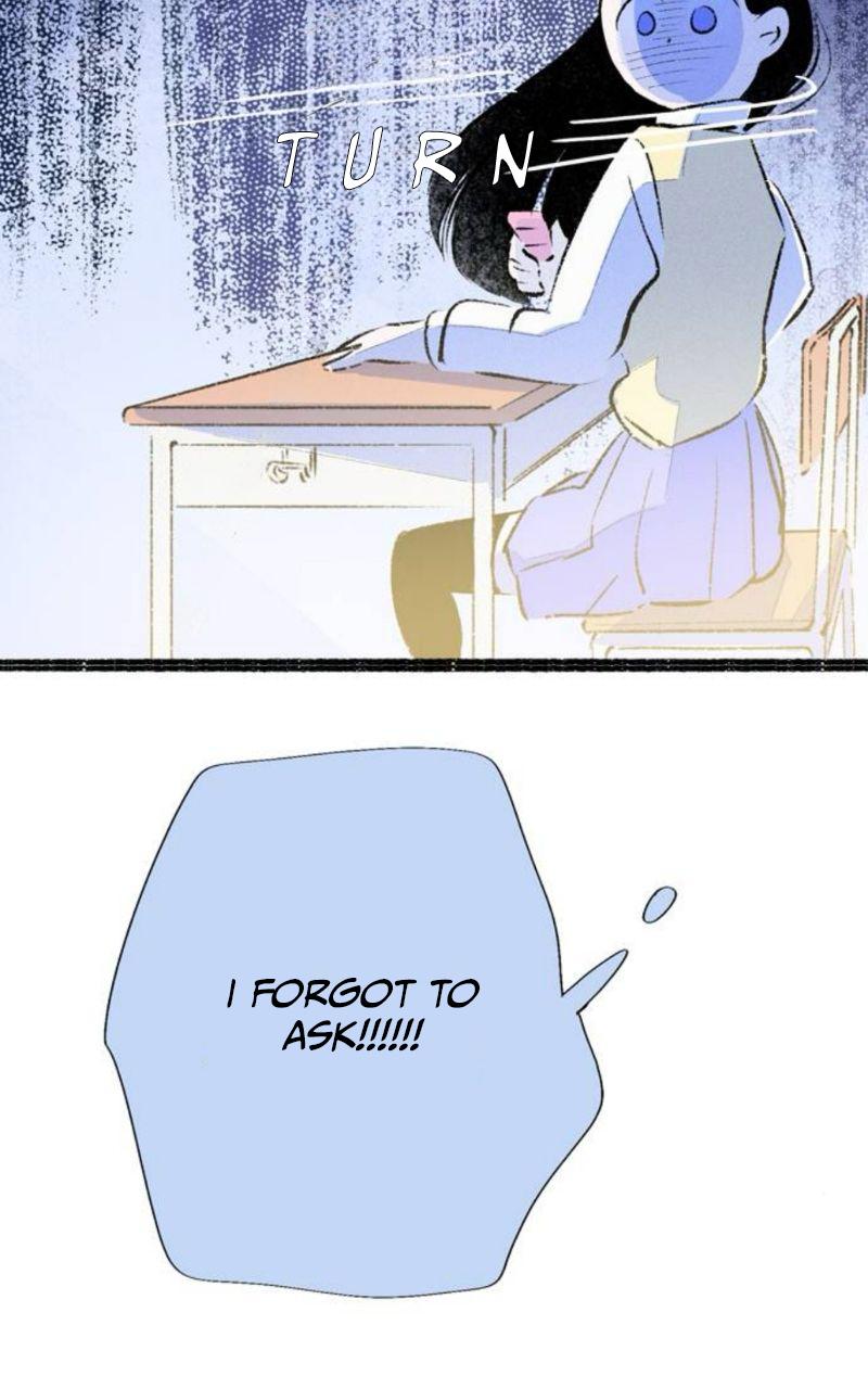 Why Don