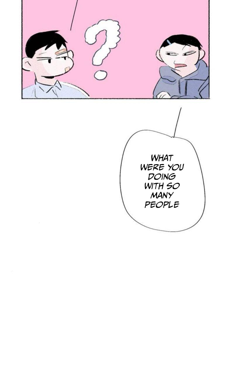 Why Don