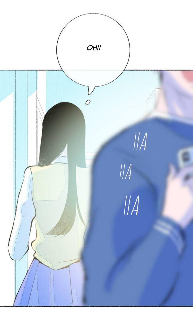 Why Don