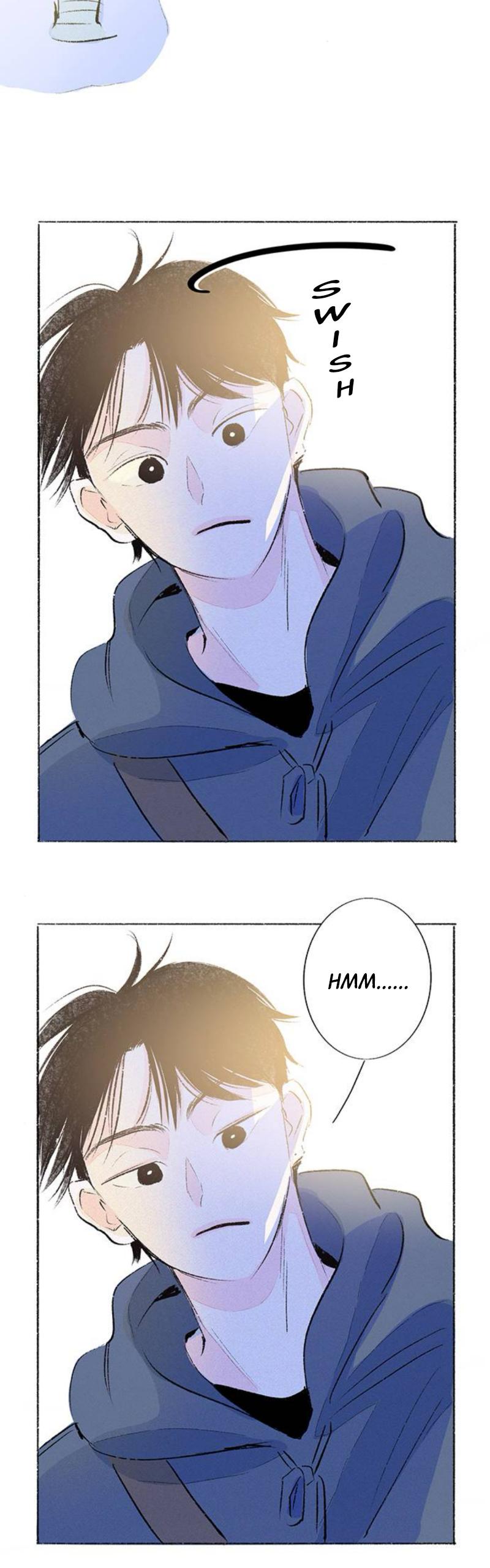 Why Don