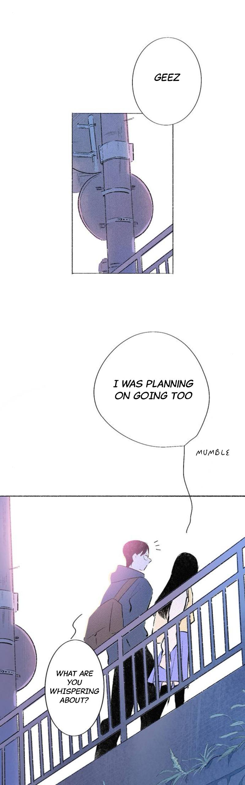 Why Don