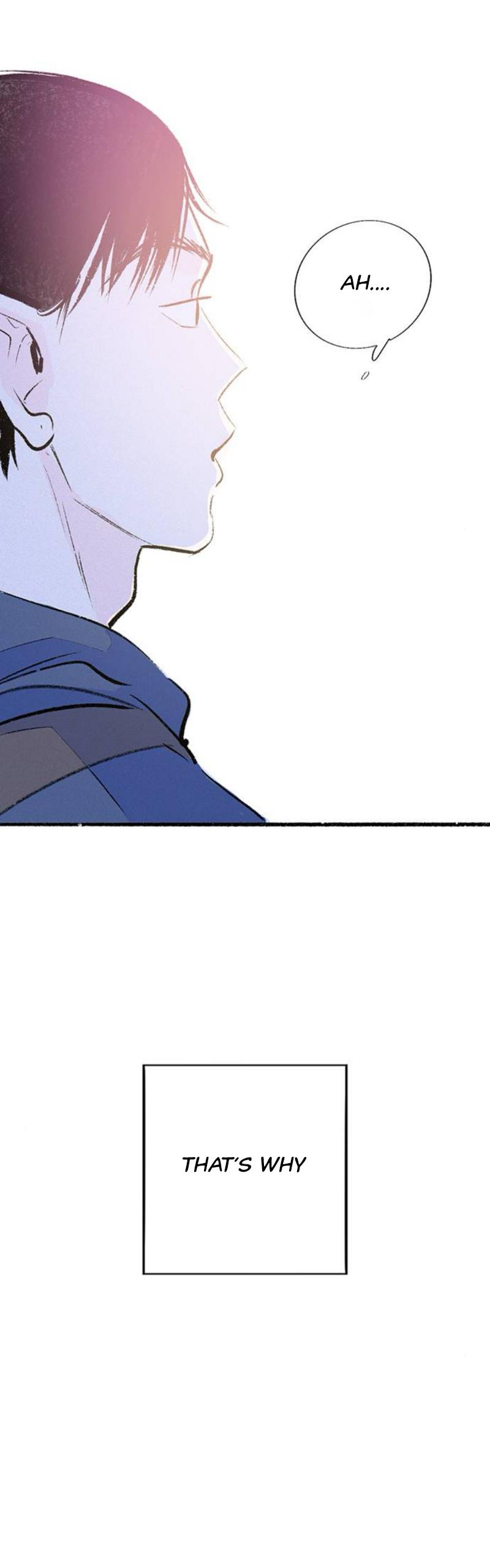 Why Don