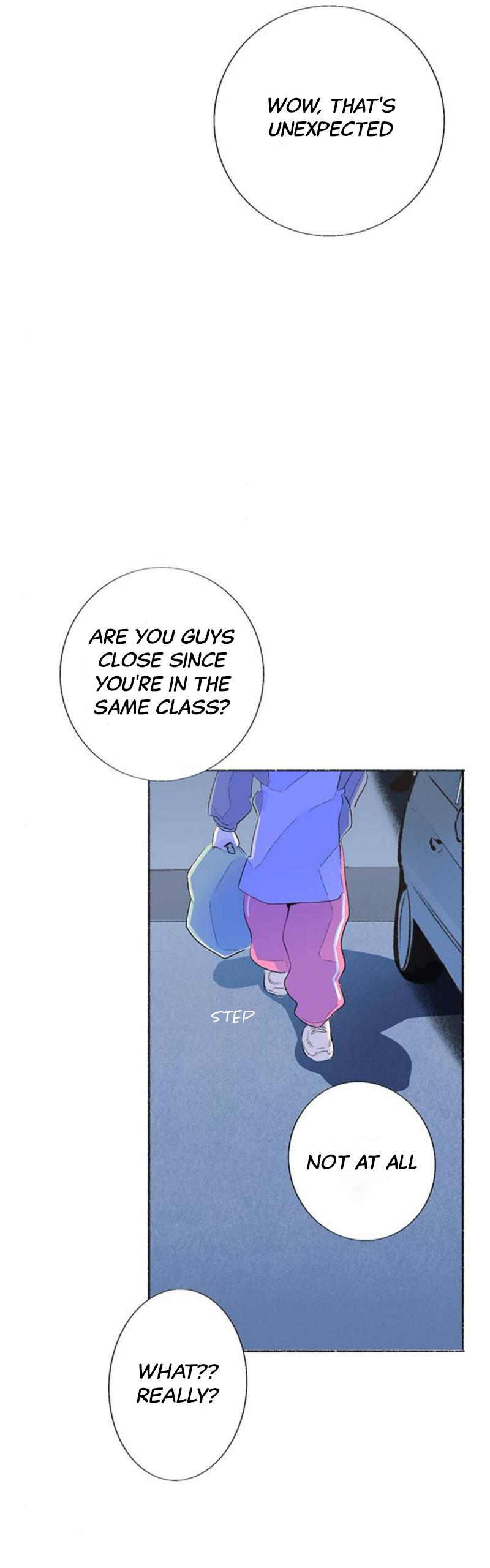 Why Don