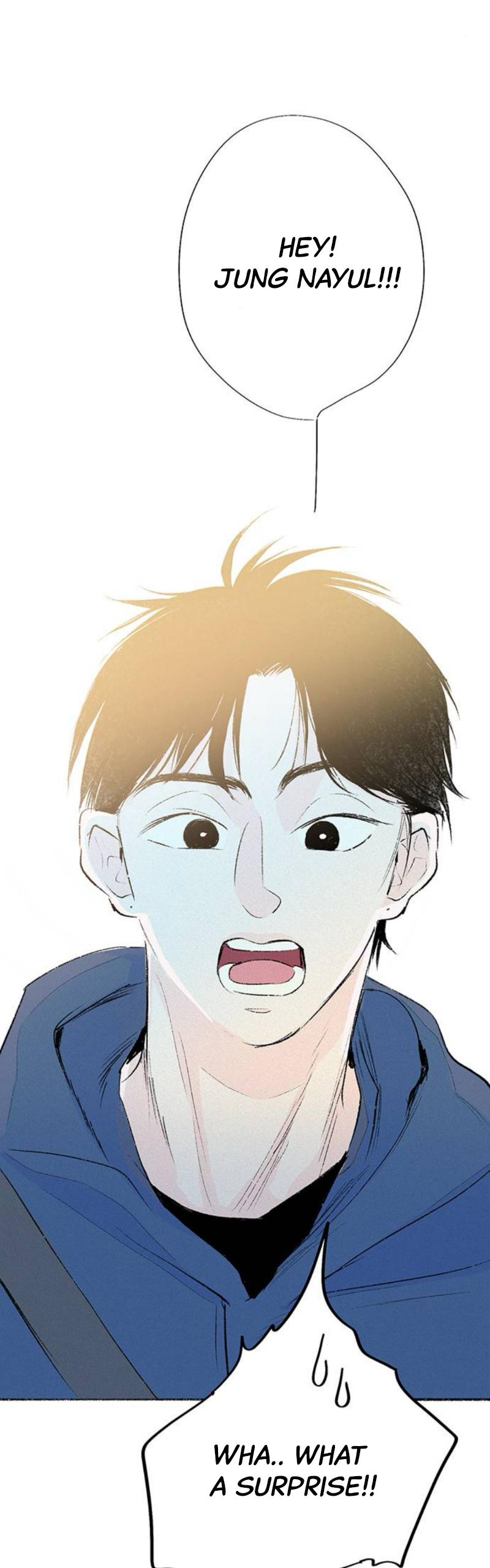 Why Don