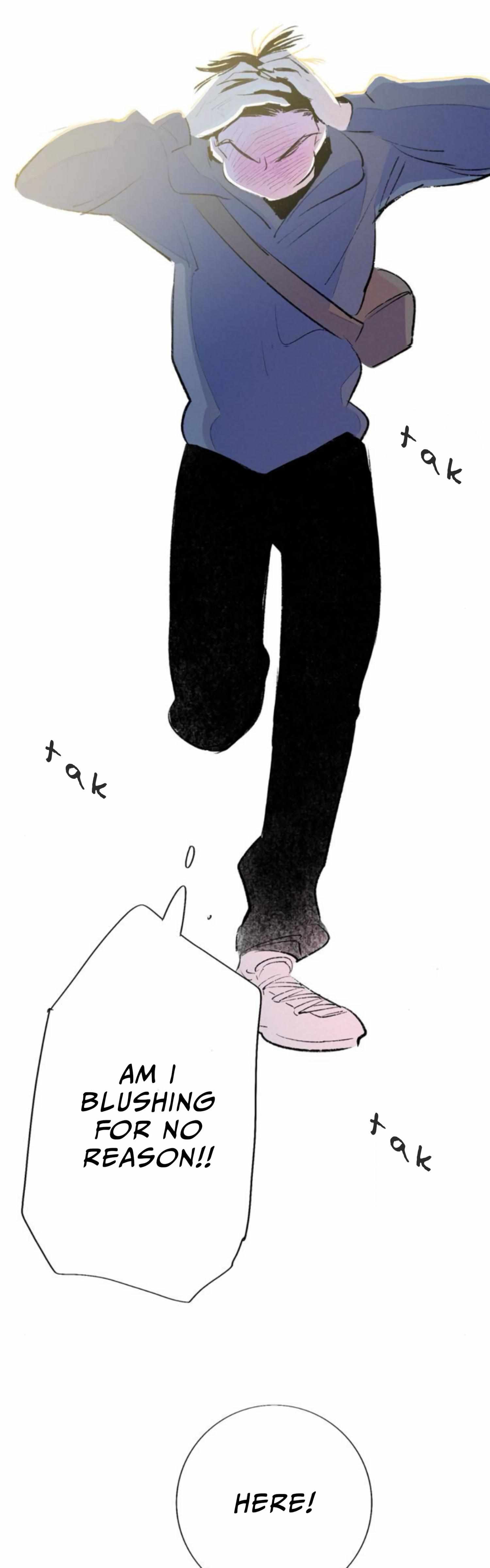 Why Don