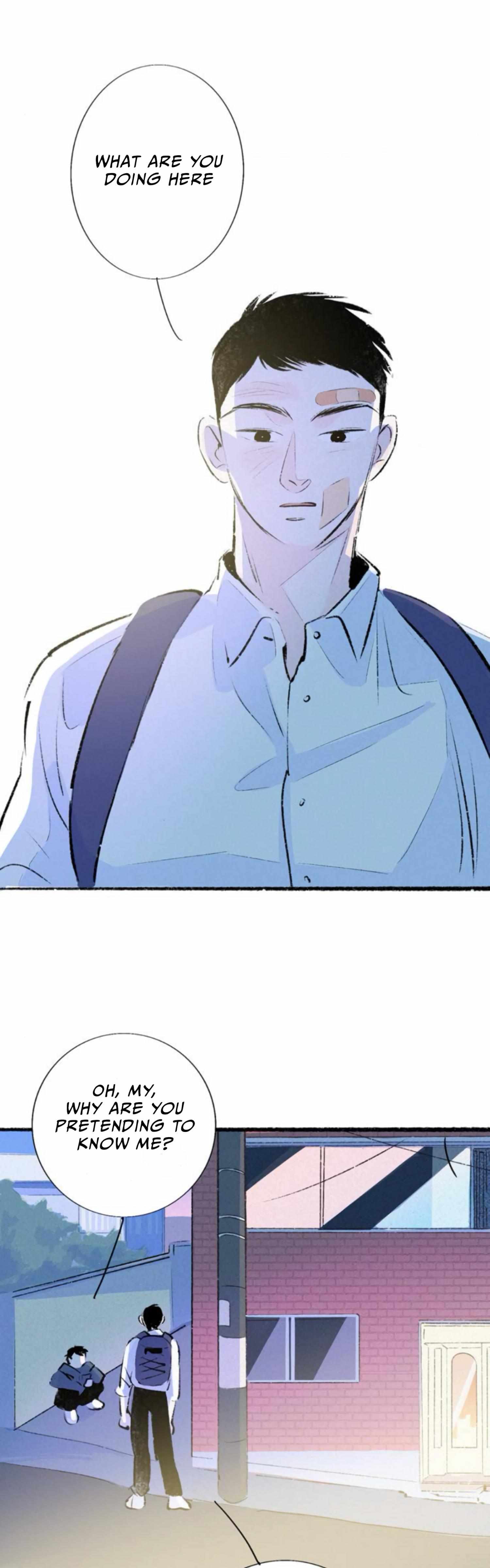 Why Don