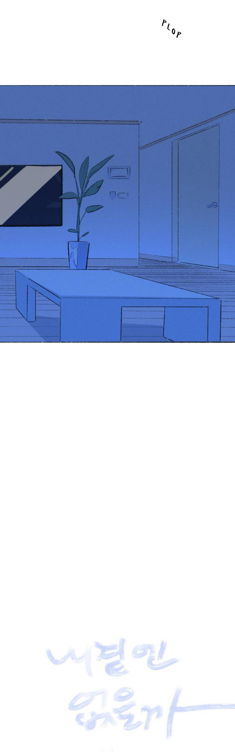 Why Don