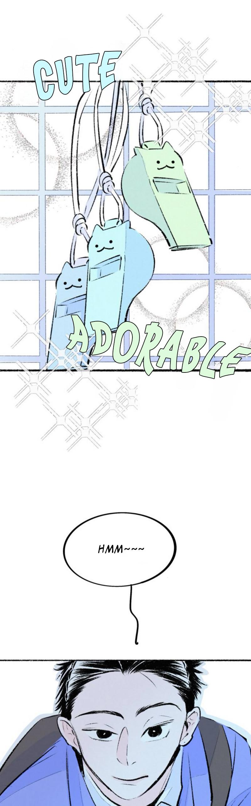 Why Don