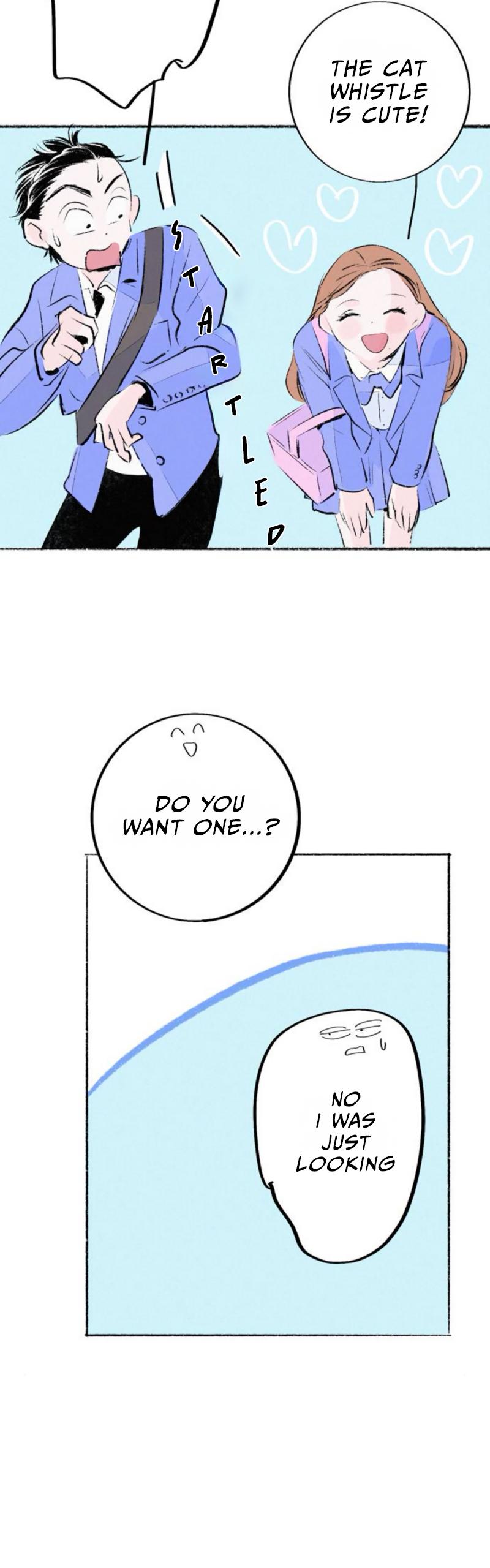 Why Don