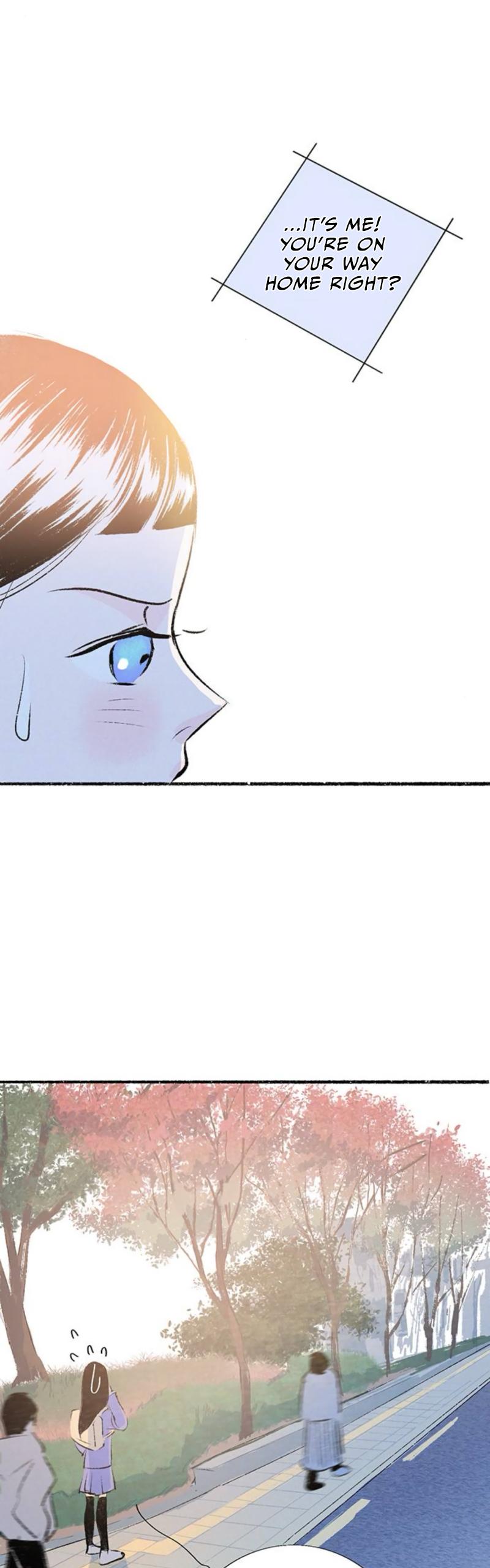 Why Don