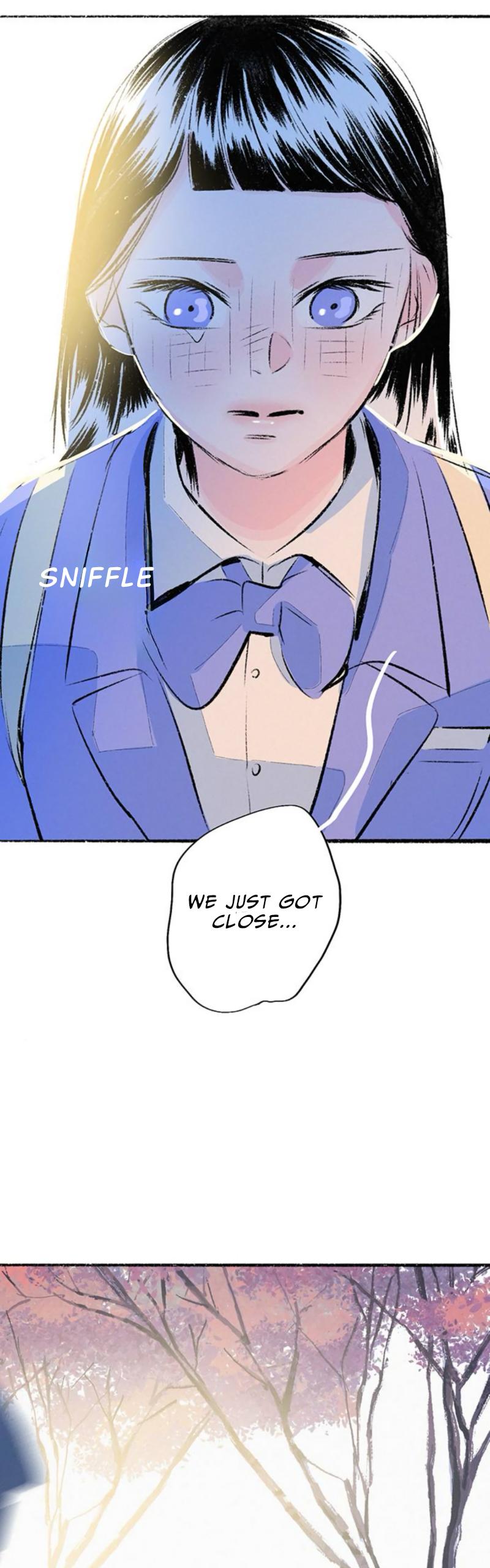 Why Don