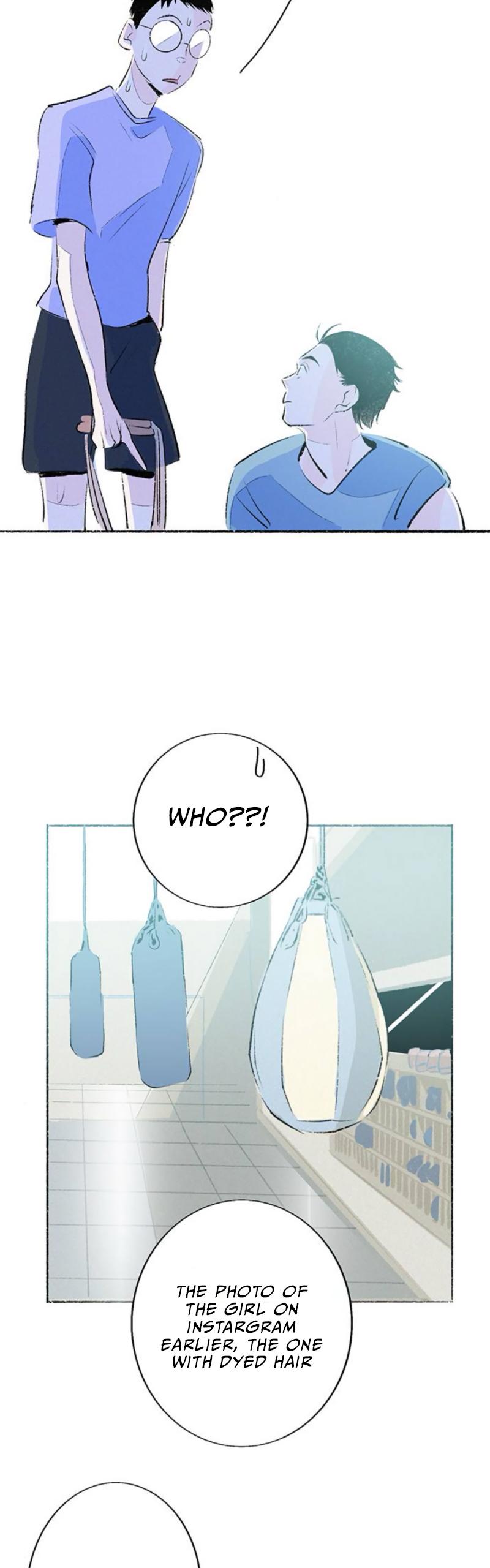 Why Don