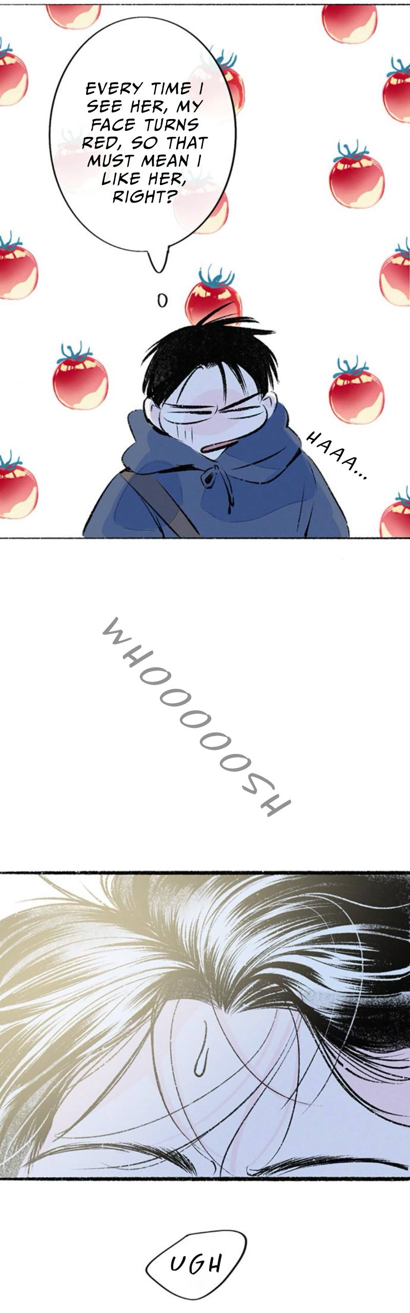 Why Don