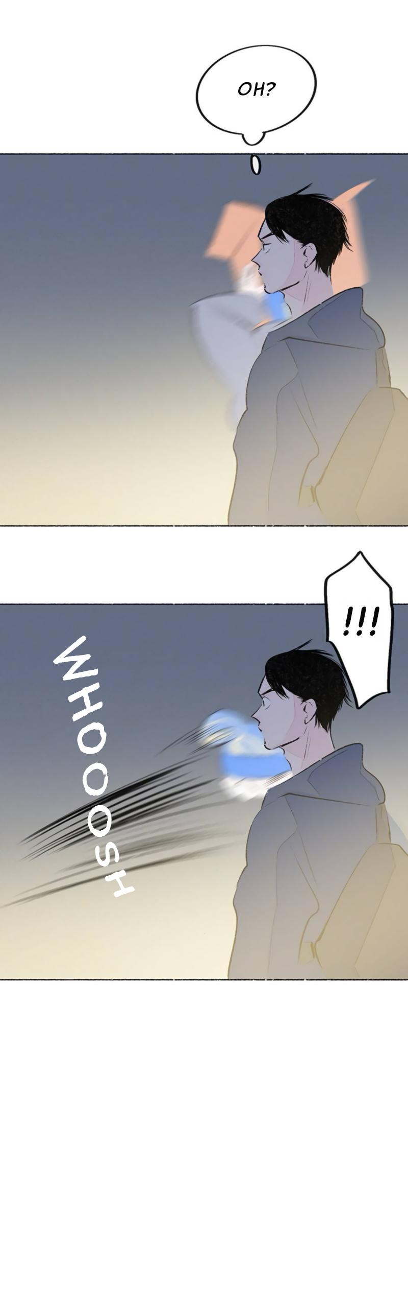 Why Don